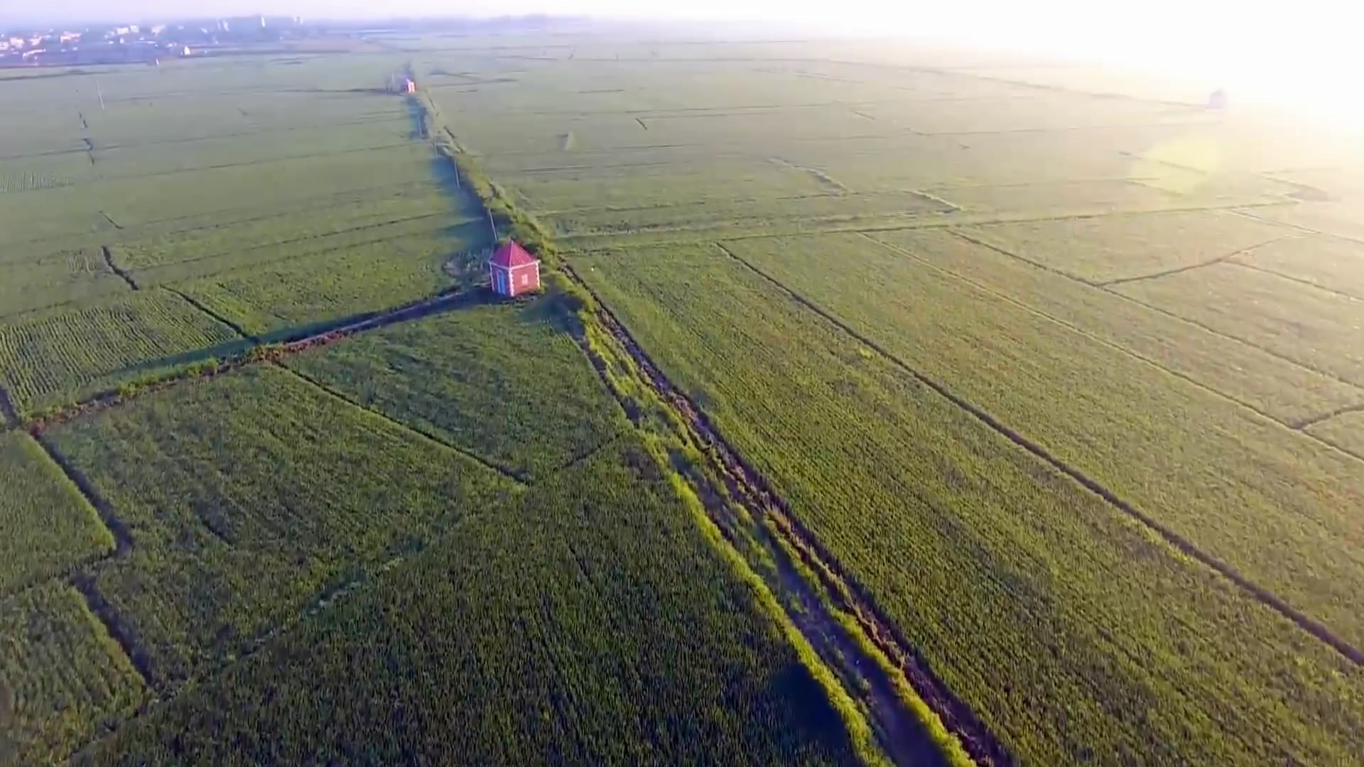 新利luck18(中国)体育·官方网站