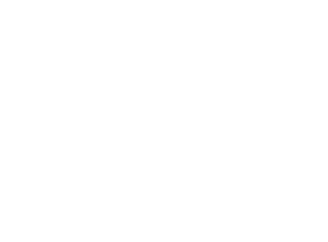 16889810887503 16889810887503